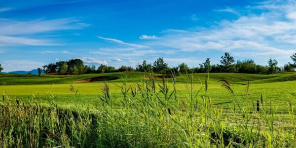 golf-course-near-me